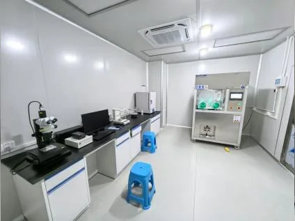 Cleanliness Detector for the Automotive Industry
